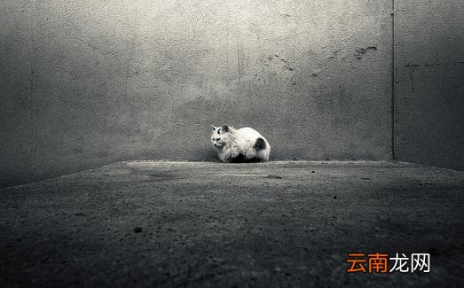 如何与自闭症儿童沟通？