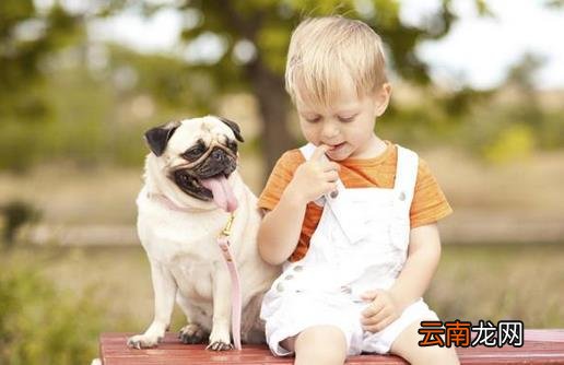 孩子不愿意去幼儿园的原因