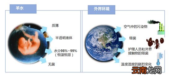 为什么选对宝宝洗护用品如此重要？