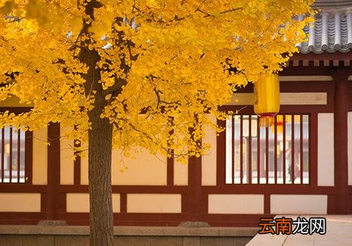 2018年处暑是几月几日,大暑热还是处暑热