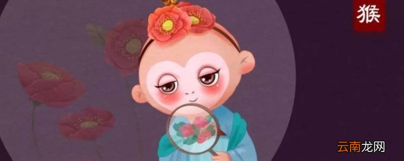 属猴干什么事业最好