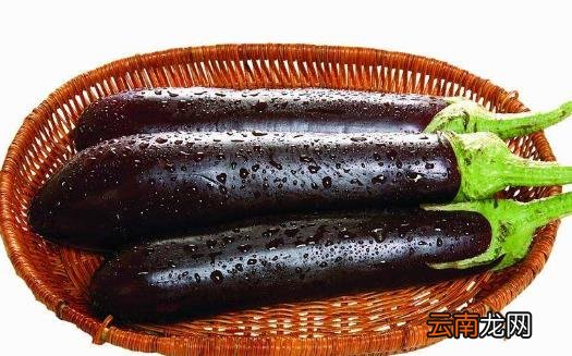 减肥的7个饮食注意事项 塑身最快的减肥食谱