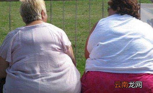 肥胖症使预期寿命减少 5款减脂餐满足你的吃货心情
