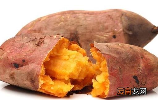 肥胖症使预期寿命减少 5款减脂餐满足你的吃货心情
