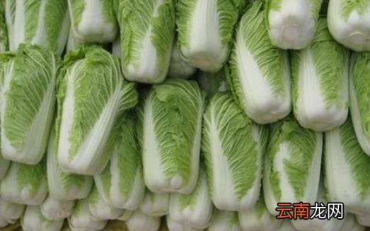 合理的减肥方法必不可少 十四种低卡食品多吃一些