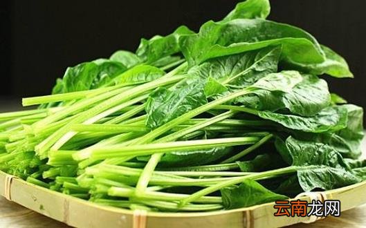 合理的减肥方法必不可少 十四种低卡食品多吃一些
