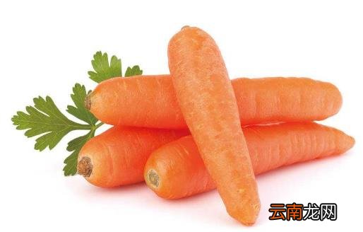 蔬菜有最佳的瘦身功效 美容美体的超级食品
