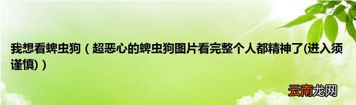 进入须谨慎 超恶心的蜱虫狗图片看完整个人都精神了 我想看蜱虫狗
