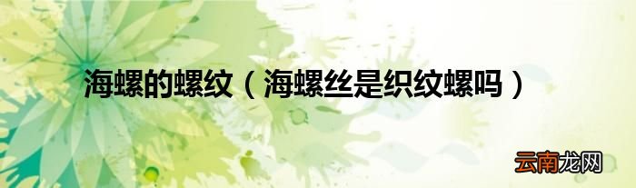 海螺丝是织纹螺吗 海螺的螺纹