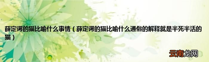 薛定谔的猫比喻什么通俗的解释就是半死半活的猫 薛定谔的猫比喻什么事情