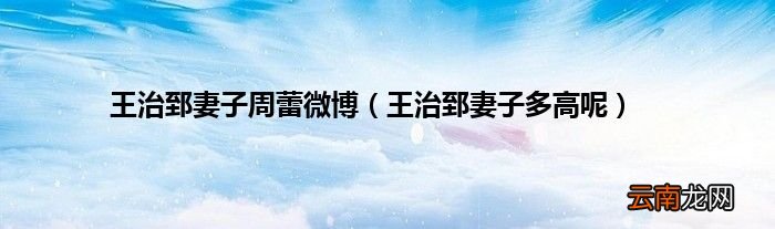 王治郅妻子多高呢 王治郅妻子周蕾微博