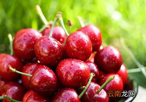 樱桃一天吃多少合适,吃樱桃要注意什么