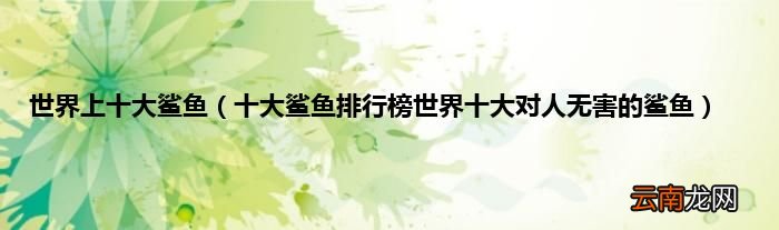 十大鲨鱼排行榜世界十大对人无害的鲨鱼 世界上十大鲨鱼