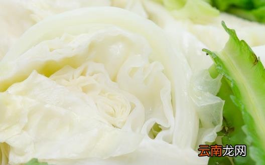 三日断食减肥法 水煮菜减肥食谱做法