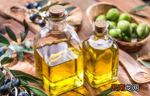 巧用橄榄油护肤效果佳 呵护脸部肌肤防裂止痒