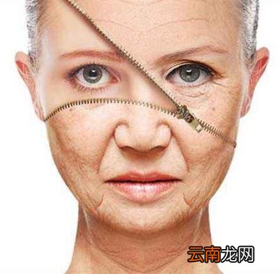 女人吃什么抗衰老 4种食物吃出好气色