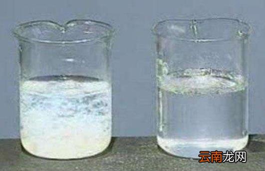 女人吃什么抗衰老 4种食物吃出好气色