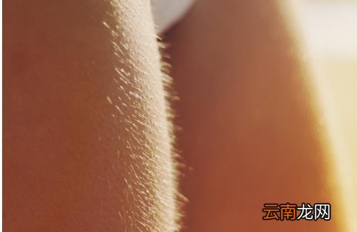 小疙瘩挥之不去的困扰 让皮肤恢复光滑的方法