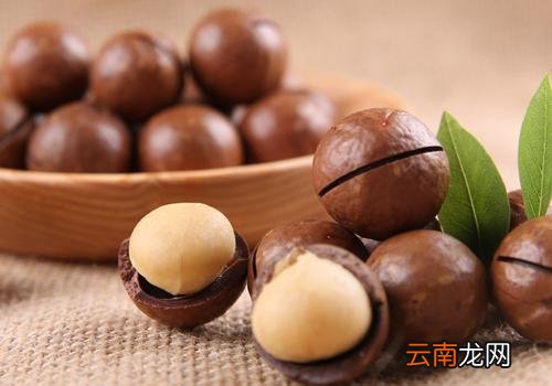 夏威夷果为什么有奶香,夏威夷果奶香味有害吗
