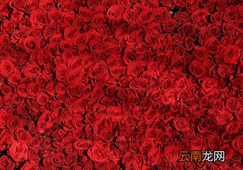 2018年七夕节是几月几日,七夕节淘宝有活动吗