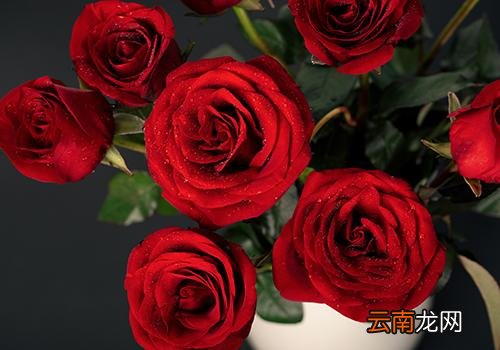 2018年七夕节是几月几日,七夕节淘宝有活动吗