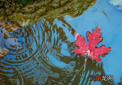 2018年过了处暑还热吗,2018年处暑后还热吗