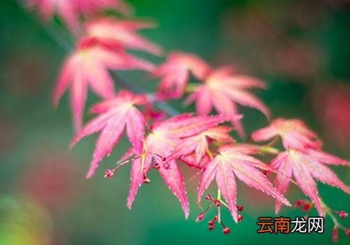 2018年过了处暑还热吗,2018年处暑后还热吗
