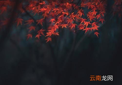 2018年过了处暑还热吗,2018年处暑后还热吗