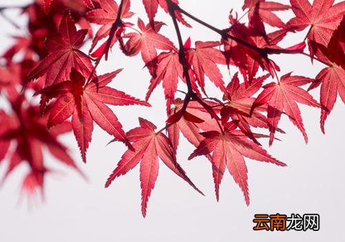 2018年过了处暑还热吗,2018年处暑后还热吗