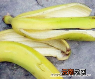 巧用香蕉皮煮水止痒