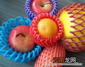 水果网套的五个小妙用