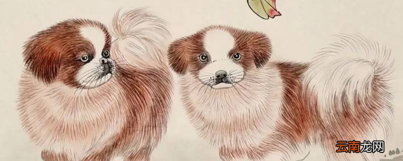 财源滚滚永不穷的生肖