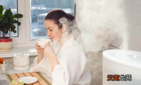 你的房间缺水了怎么办 快来选一个适合你的加湿器