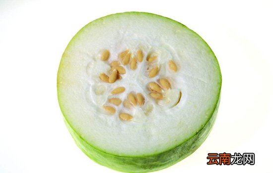 冬瓜为什么利尿 肾病性水肿靠冬瓜利尿消肿不靠谱