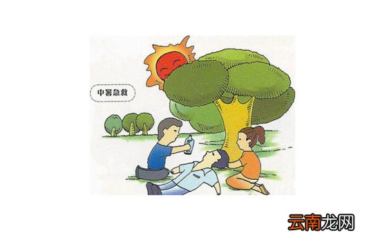 中暑为什么会死人 中暑死亡的体温临界线