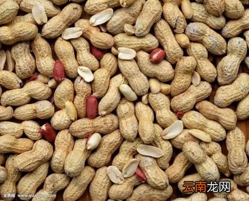 花生的功效及饮食禁忌 常吃花生对养生好