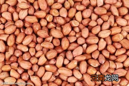 花生的功效及饮食禁忌 常吃花生对养生好