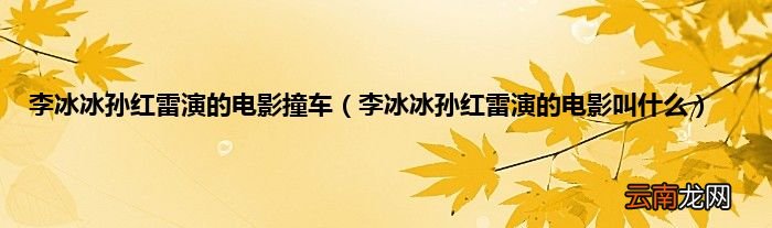 李冰冰孙红雷演的电影叫什么 李冰冰孙红雷演的电影撞车
