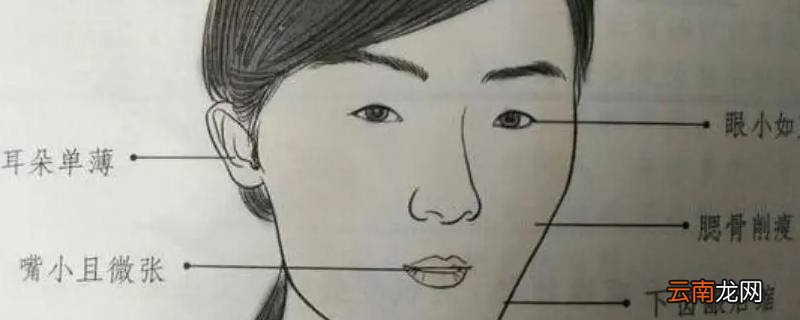 选媳妇必看的面相特征