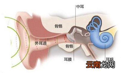 耳鸣的三个症状，耳鸣的危害，如何预防耳鸣