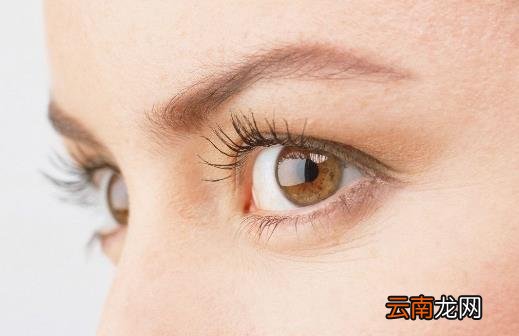 祛除眼袋小方子大推荐 让你今夏眼袋全无年轻十岁
