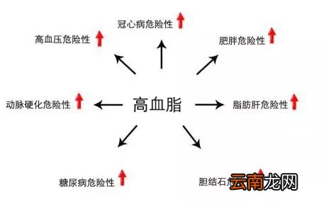 高血脂的危害有哪些 高血脂危害分析介绍