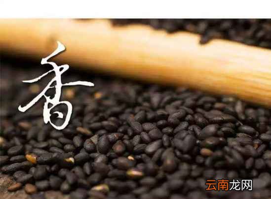 芝麻的功效与作用 芝麻调理肠胃抗衰老好
