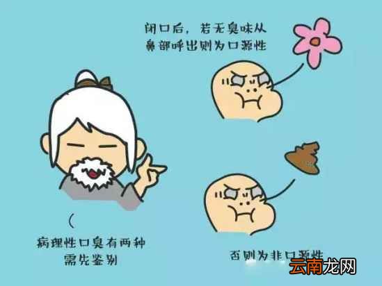 口苦口臭吃什么好 这些食物帮你解决口苦口臭