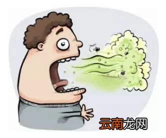 口苦口臭吃什么好 这些食物帮你解决口苦口臭