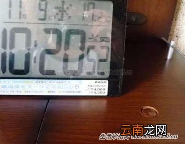 家具上又蒙一层灰？只要在清水里加入几滴，就不沾灰啦！