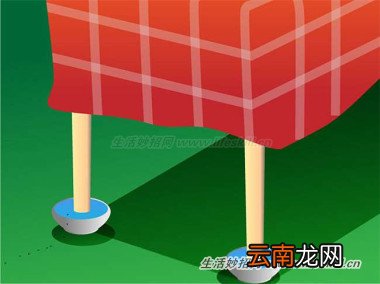 4招消灭蚂蚁，从此跟蚂蚁的骚扰说拜拜！