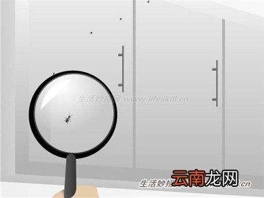4招消灭蚂蚁，从此跟蚂蚁的骚扰说拜拜！