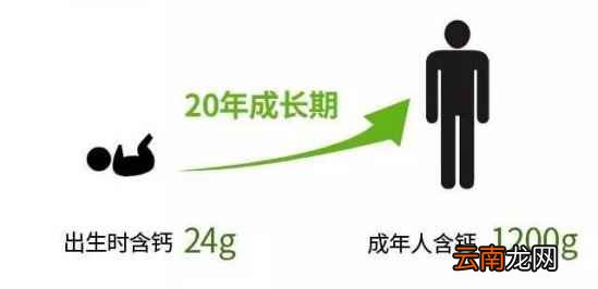 吃乳钙的好处 乳钙都有哪些好处