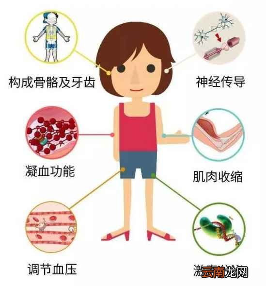吃乳钙的好处 乳钙都有哪些好处